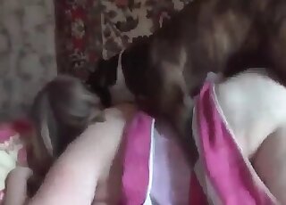 Canine screws her tight anus in a zoo anal vid