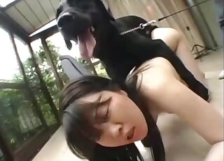 Sex asian beast Animal Sex