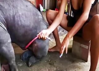 Young chick and her trained dog enjoy bestial fuck