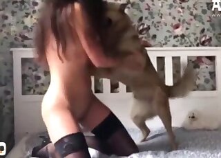 Brunette in a mask gets violated by a dog cock