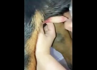 Blowjob movie with a very sloppy fellatio sesh