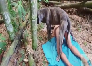 Good-looking girl with a nice ass fucks a dog