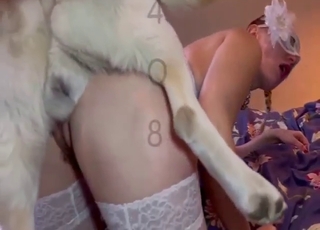 Masked hottie with sexy stockings fucks a dog