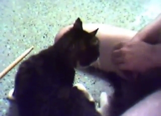 Bestiality sex with a cat can really be so hot