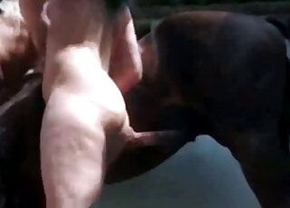 Horny stallion fucking on a farm
