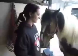 Bestiality porn with a brunette teen and horse
