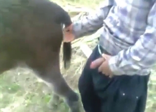 Dude gets crazy horny with that donkey cunt