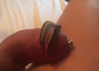 Nothing gets him going quite like those worms