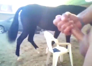 Truly wicked mare is going to fuck a guy hard