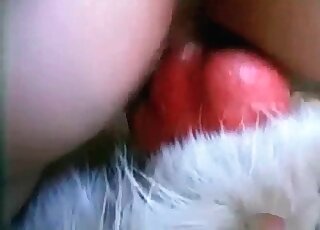 Meaty doggy cock sucked by a blonde