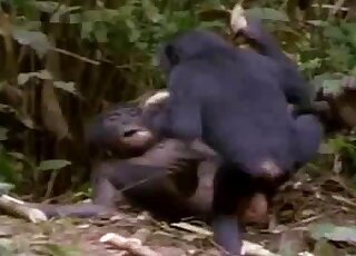 Qizlar kokraklari bilan dikni onanizm qilishadi Ona va ogil va dada va qizning jinsiy aloqa video