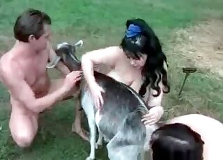 Brutal bestiality banging at the farm