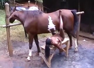 Black doll likes sucking the big penis of her stallion - ガールズ　アニマルセックス 