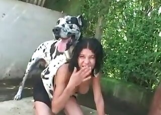 Dalmatian in awesome amateur bestiality