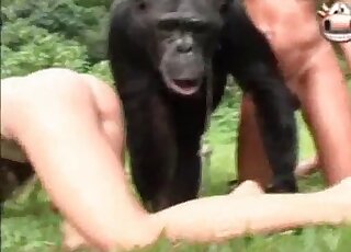 Порно видео женщина и обезьяна
