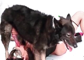 Canine cock is her one true love to be honest