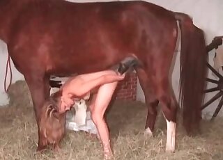 Zoophilic fun scene with lots of passionate sex